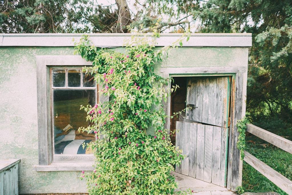 Converted Barn - Tiger House Hermitage Havelock North Exteriör bild