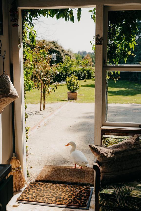 Converted Barn - Tiger House Hermitage Havelock North Exteriör bild